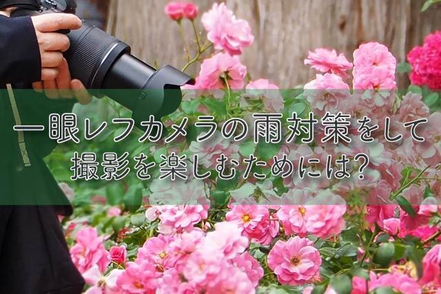 一眼レフカメラの雨対策をして撮影を楽しむためには？