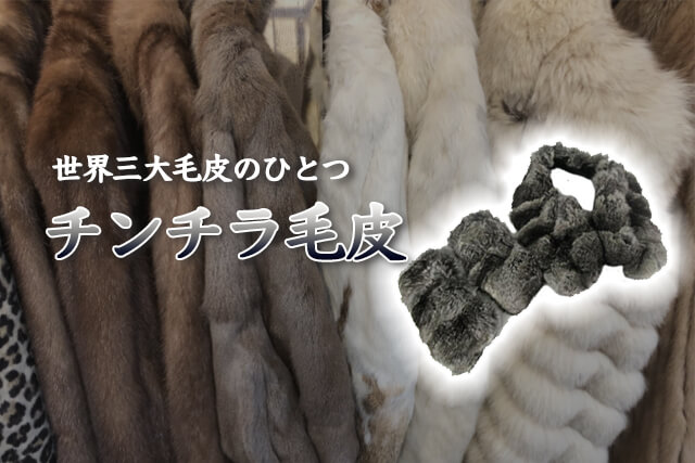 「世界三大毛皮」のひとつ「チンチラ毛皮」の特徴