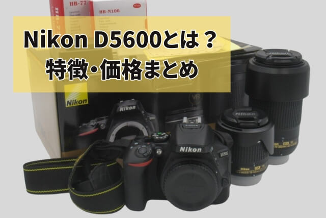 Amazon.com : D5600 DX-format Digital SLR w/AF-P DX NIKKOR 18-55mm  f/3.5-5.6G VR : Electronics