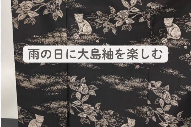 雨の日に大島紬を楽しむ