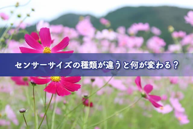 センサーサイズの種類が違うと何が変わる？