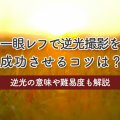 一眼レフで逆光撮影を成功させるコツは？逆光の意味や難易度も解説